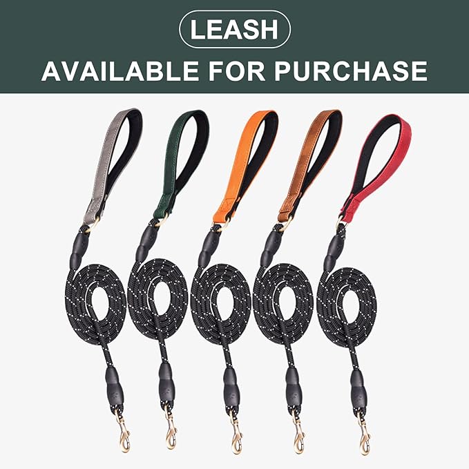 Personalized PU Leather Dog Collar with Custom Bronze Nameplate, Multi-Color, Soft Neoprene, Vintage Bronze Accessories, Optional Leash (Gary, XS (8-11 Inches))