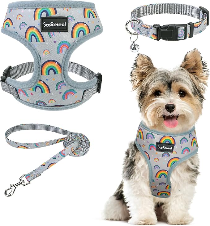 SCENEREAL Small Dog Harness Collar and Leash Set, Adjustable No Pull Pet Harnesses, No Chock Soft Mesh Step in Vest for Doggie Puppy Medium Dogs Cats Girl or Boy,Chihuahua, Yorkie, Outdoor Walking