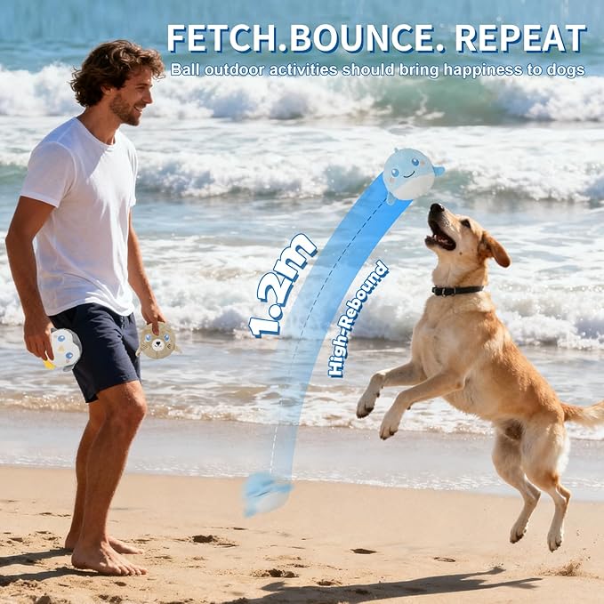 D KING D KING 3Pack Squeaky Dog Balls,2 in1 Funny Puppy Ball Toys,Birthday Dog Toy for Small Medium Dogs (Ocean Ball)