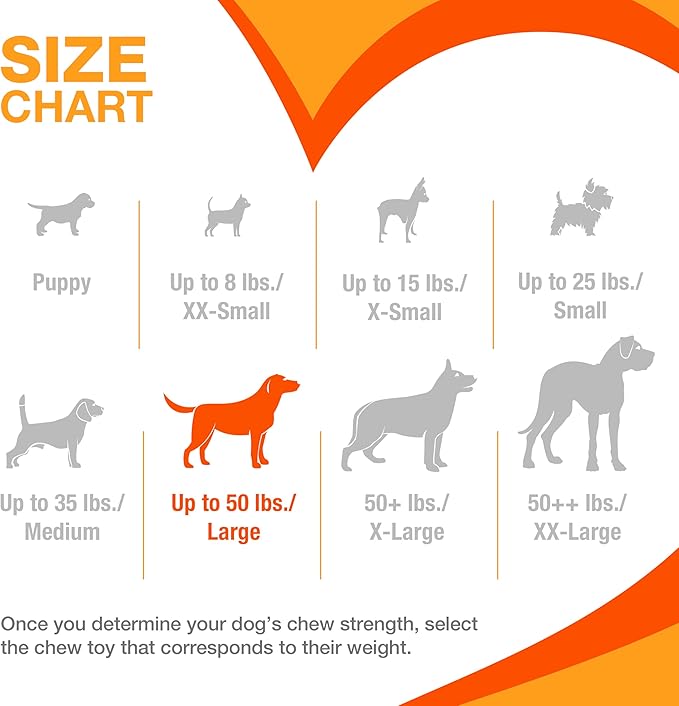 Nylabone Limited Edition 70th Birthday Donut Power Chew Toy for Dogs, Durable & Tough Dog Toys for Aggressive Chewers, Pumpkin & Peanut Butter Flavor, Large - Up to 50 lbs (1 Count)