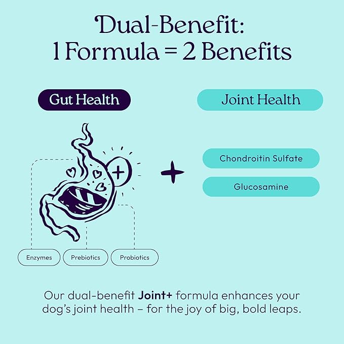WellJoy Dog Treat Joint+ GutBoost | Glucosamine | Healthy Joints & Cartilage | Dual-Benefit GutBoost Formulation | Vet Formulated | Made in USA | Made with Real Shredded Chicken | 30 Soft Chews