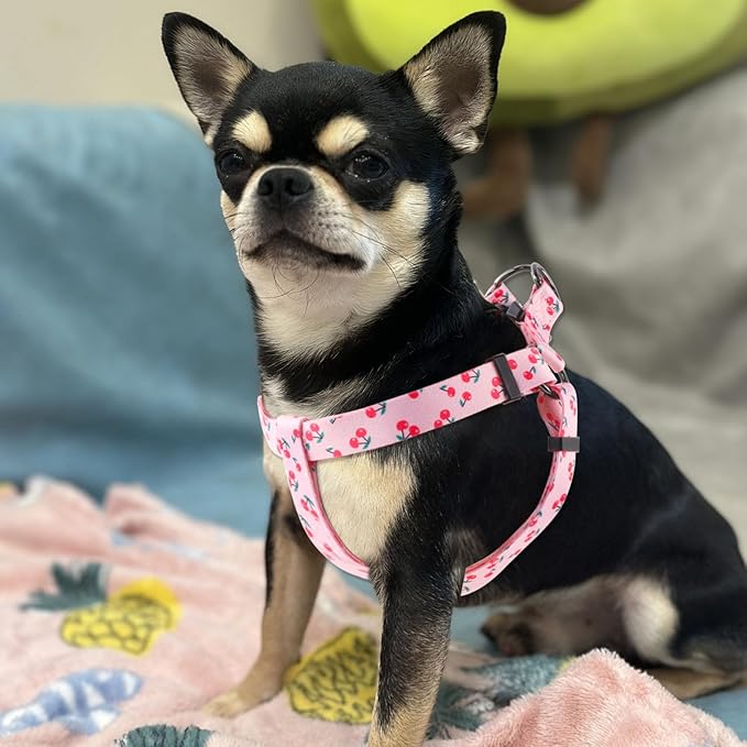 QQPETS Dog Harness Leash Set Adjustable Heavy Duty No Pull Halter Harnesses for Small Medium Large Breed Dogs Back Clip Anti-Twist Perfect for Walking (S(14"-20" Chest Girth), Sakura Pink)