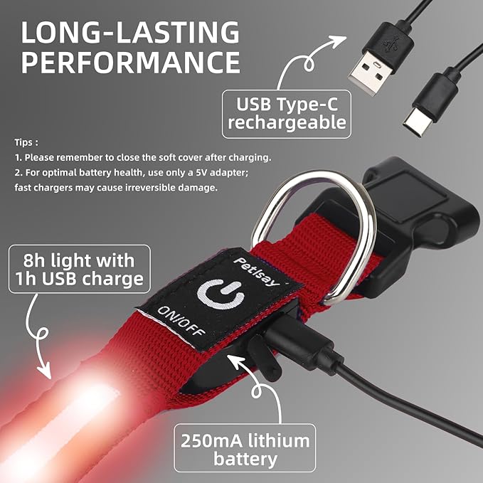 Super Bright LED Dog Collar - Fully Waterproof & Adjustable Glow Collar - USB-C Rechargeable for Night Walking, Safety - Flashing Lighted Collar for Dogs(Red,Large)