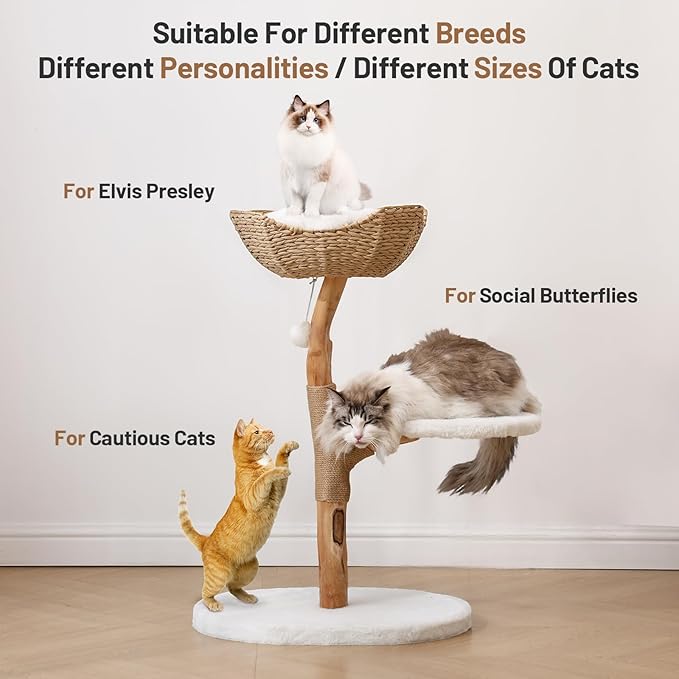 Modern Adult Cat Tree for Large cat Solid Wood Cat Tower for Indoor Cat Tall Cat Condo Cat Climbing Tower with Scratching Post Bed