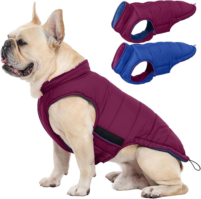 QBLEEV Reversible Dog Coat for Small Dogs, Waterproof Windproof Winter Jacket Keeps Small Breeds Warm & Dry, Lightweight Adjustable Puffer Vest with Leash Hole, Purple, XS – Fits Chihuahua, Yorkie
