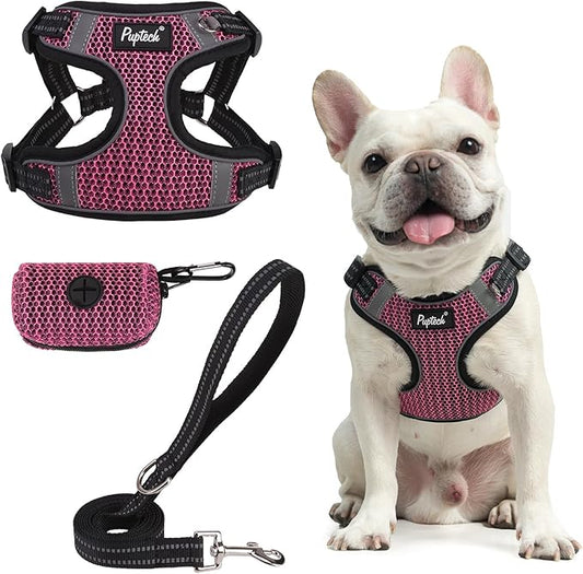 PUPTECK Dog Harness and Leash Set Small Sized, Step in No Pull Adjustable Puppy Cat Harness Reflective Pet Vest