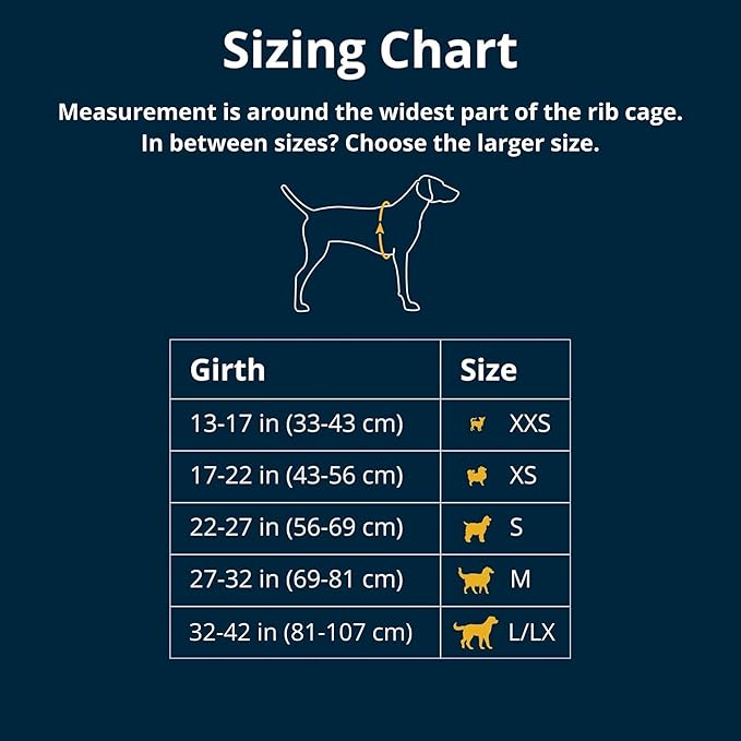 Ruffwear, Front Range Dog Harness, Reflective Soft Padded Everyday Harness with Dual Leash Clips, Adjustable and Lightweight Fit for Training or Walking for All Dogs, River Rock Green, Large/X-Large