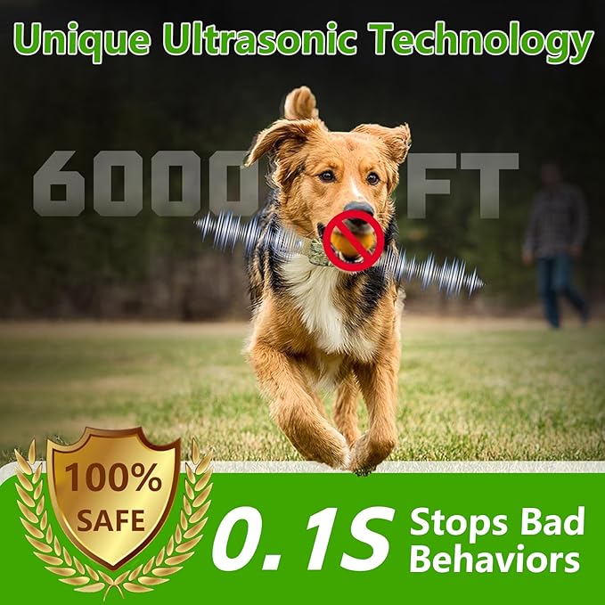 Wireless Dog Fence System for 2 Dogs Electric Fences for Dogs Training Collar with Remote Shock Collar for Dogs Ultrasonic Trainer Portable Outdoor Safe Pet Containment System with 2 Collars