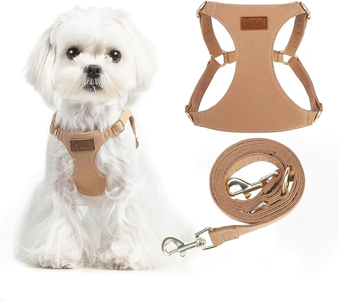 PUPTECK Dog Harness and Leash Set Small Sized, Step-in Cute Puppy Harness, Soft Lightweight Padded Vest, Escape Proof No Pull Pet Harnesses Easy for Walking, Khaki, XS