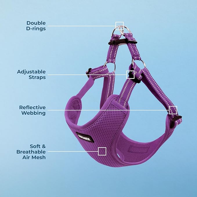 Best Pet Supplies Voyager Mesh Dog Breathable Harness Reflective Stitching, All Weather Adjustable for Walking Training, or Running - Heavy Duty & Durable, Harness (Purple), M