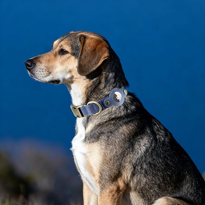 AirTag Dog Collar for Medium Dogs - Soft Leather Dog Collar with Apple AirTag Holder and Metal Buckle - Smart Tracker GPS Apple Air Tag Pet Collars(Navy Blue, M)