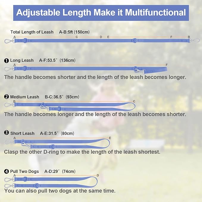 Wisedog Waterproof Dog Leash – 5ft/6ft Adjustable with 2 Metal Swivel Hooks, Easy to Clean Dog Leashes for Small, Medium, Large Breed Dogs (Blue,M)