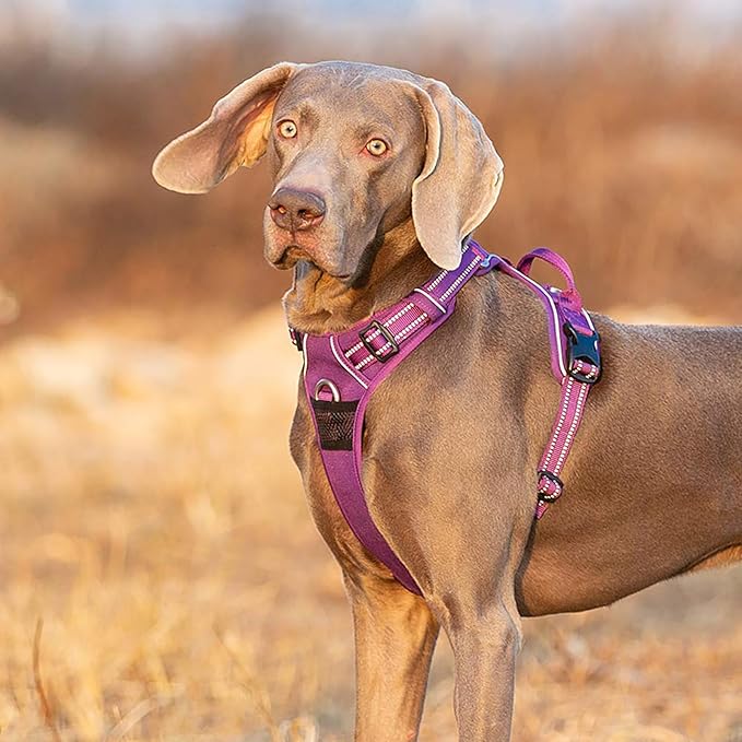 TRUE LOVE Dog Harness No Pull Nylon Reflective Pet Harness Adjustable Comfortable Control Step-in Brilliant Colors Truelove TLH56512 XL