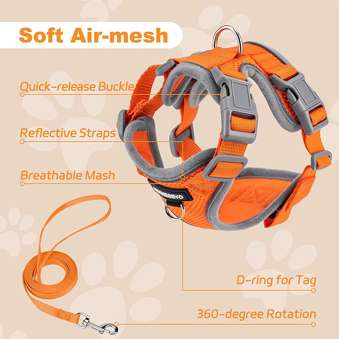 Small Dog Harness and Leash Set，No Pull Adjustable Pet Harness for Small Dogs ，Breathable Mesh Reflective Dog Vest Harness (Orange, XXS)