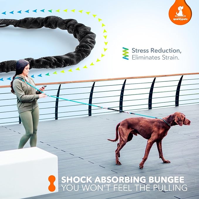 SparklyPets Multifunctional Bungee Hands Free Leash with Detachable Slip Lead – Crossbody & Waist Leash for Dog Walking, Medium & Large Breeds (Black)