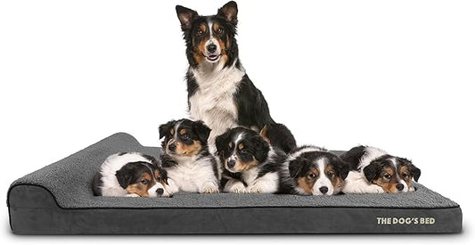 The Dog’s Bed Orthopedic Headrest Dog Bed XXXL Grey Plush 64x44, Memory Foam, Pain Relief for Arthritis, Hip & Elbow Dysplasia, Post Surgery, Lameness, Supportive, Waterproof Washable Cover
