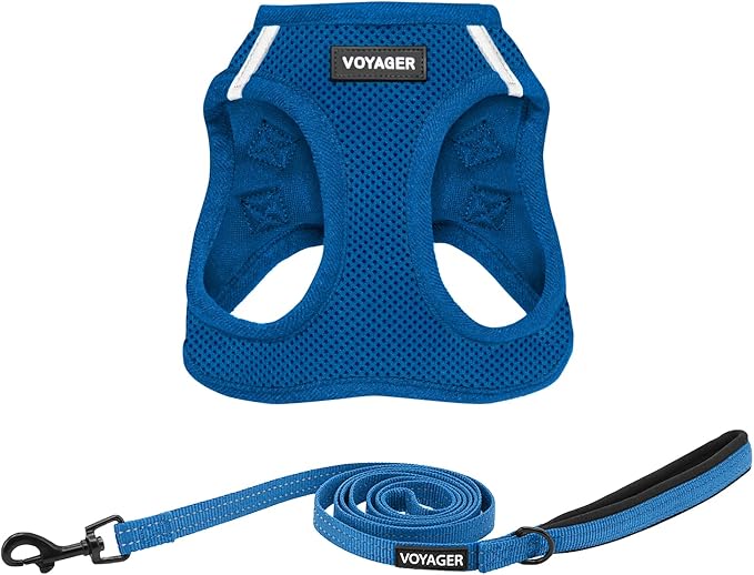 Voyager Step-in Air All Weather Mesh Harness and Reflective Dog 5 ft Leash Combo with Neoprene Handle, for Small, Medium and Large Breed Puppies by Best Pet Supplies - Set (Royal Blue), M