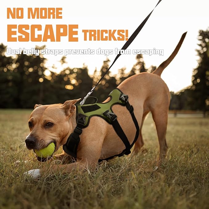 AUROTH Escape Proof Dog Harness - Soft Padded Reflective Adjustable Vest with Lift Handle - Medium Size