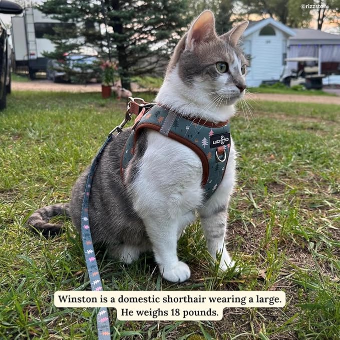 Lucy & Co. Take a Hike Step-in Cat Harness & Leash Bundle – Reflective, Breathable & Adjustable Harness for Cats, Kittens & Small Dogs, Lightweight & Secure and Dual Leash Clips – X-Small