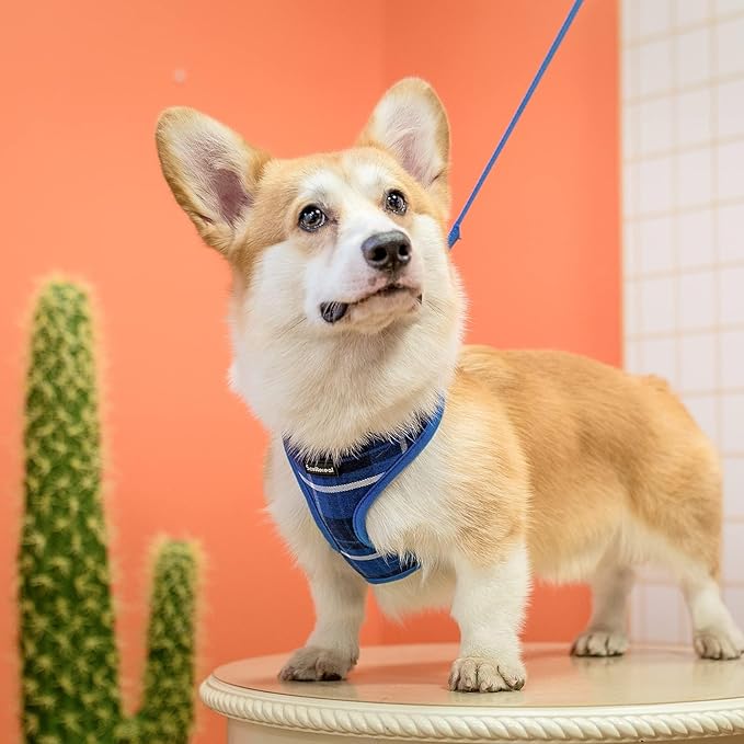 SCENEREAL Puppy Dog Harness with Leash Set for Small Medium Sized Dogs, Soft Mesh Step in Pet Harnesses and Leash, No Chock Plaid Adjustable No Pull Vest for Dogs Cats, Chihuahua,Bulldog (Blue XS)