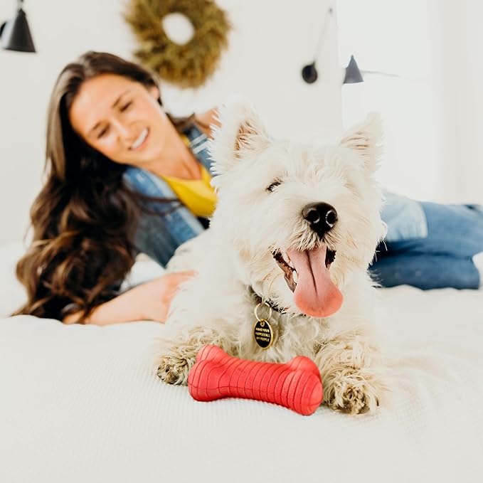 Playology Dog Toys | Dual Layer Bone Chew Toy Bone for Dogs (Value 2-Pack) | Medium Beef Scented Toy - Easy to Clean and Made from Non Toxic Materials