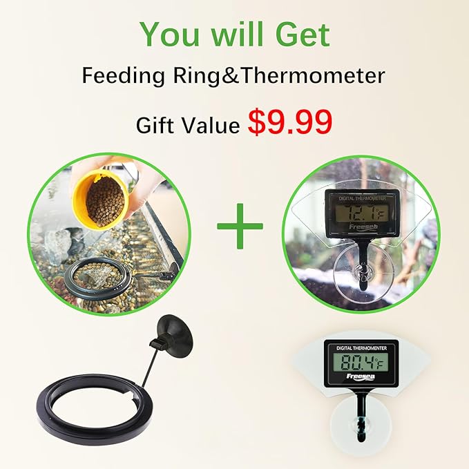 FREESEA Automatic Fish Feeder for Aquarium: Vacation Food Dispenser with Timer for Betta Tank