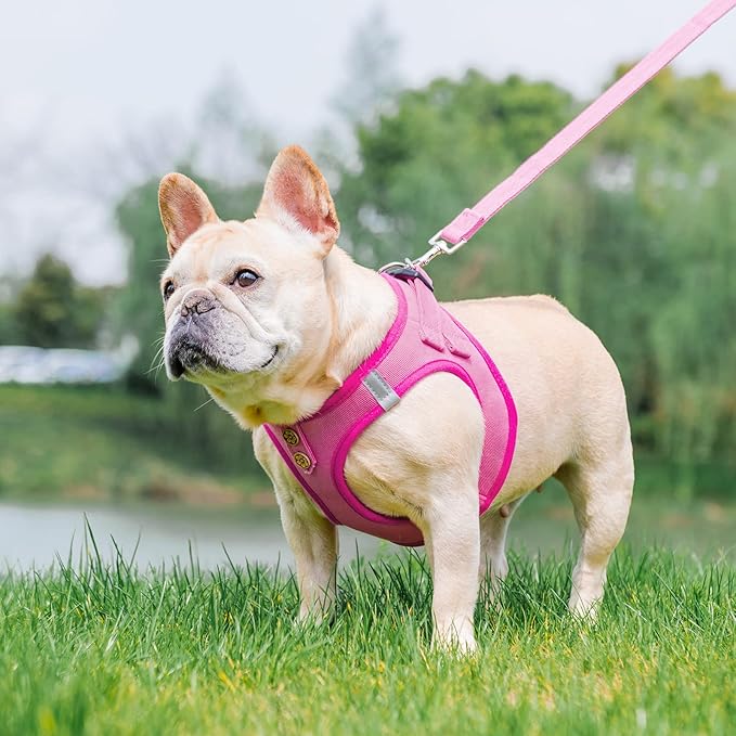 PUPTECK Dog Harness and Leash Set for Small Medium Dogs No Pull Step-in Soft Mesh Puppy Cat Vest Harnesses Reflective at Night, Denim Pink XS