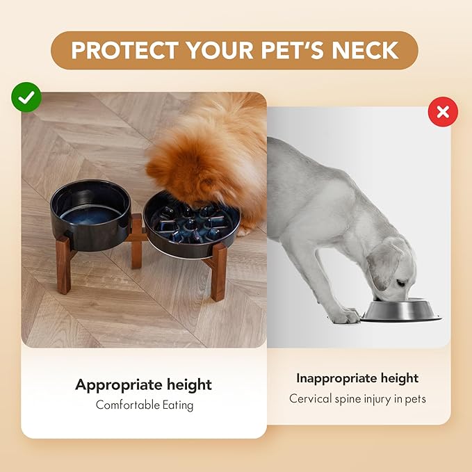 Ceramic 1.2 Cup Raised Slow Feeder Dog Bowl Set, Elevated 6.1inch Bowl and 7.3inch Slow Feeder Dish with Acacia Wood Stand for Small and Medium Dogs (2 x Starry Sky+ Stand)