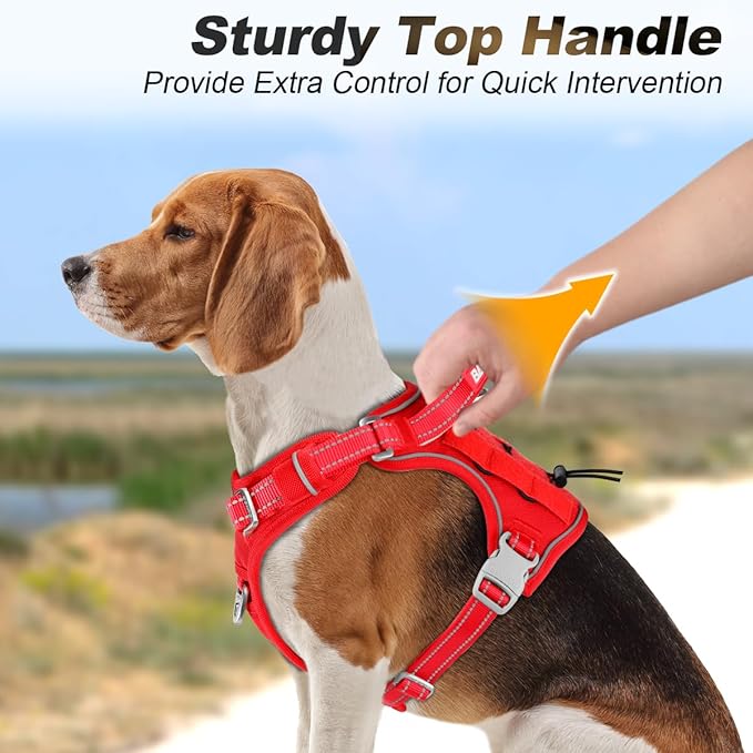 BARKBAY Service Dog Vest Tactical Dog Harness Medium Large Sized Dog Tags Personalized No Pull Adjustable Harness Reflective K9 Working Training Easy Control Military Molle System(Red,M)