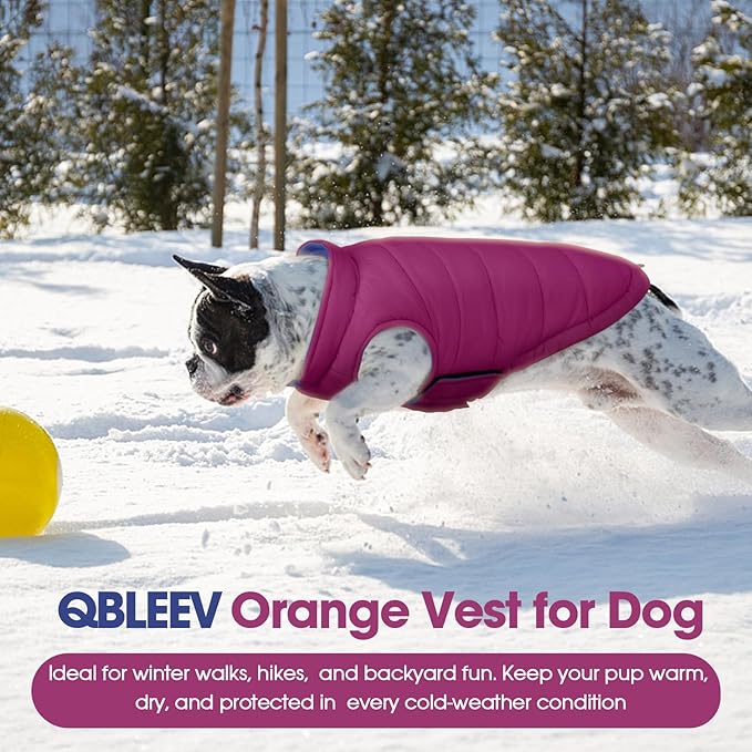 QBLEEV Reversible Dog Winter Coat, Waterproof Windproof Dog Jacket with Adjustable Fit & Leash Hole, Lightweight Warm Puffer Vest for Large Breeds, Purple, 2XL – Fits Labrador, Husky, Weimaraner