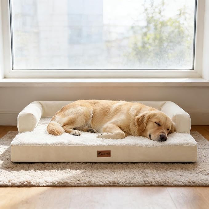 Orthopedic XXL Dog Beds, Waterproof Egg Crate Foam Big Pet Bed for All Breed Sized Dogs 53x42Inch, Washable Extra Large Dog Couch Bed with Removable Cover and Non-Slip Bottom, Beige