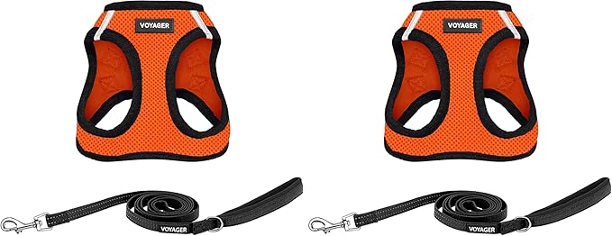 Voyager Step-in Air All Weather Mesh Harness & Reflective Dog 5 ft Leash Combo, Neoprene Handle, for Small, Medium, Large Breed Puppies by Best Pet Supplies - Leash Harness (Orange/Black Trim), M