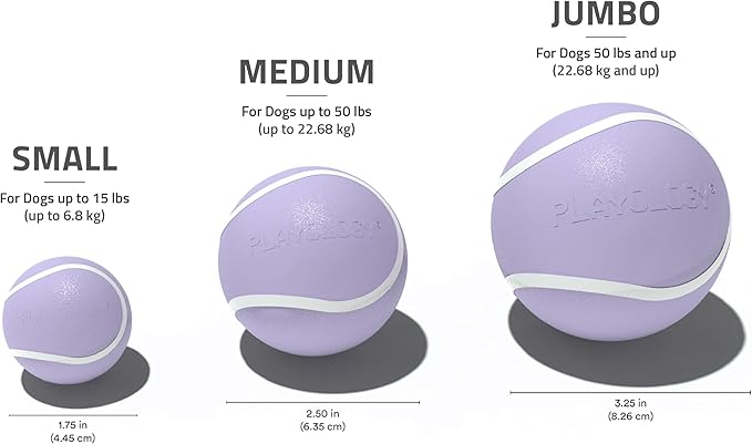 Playology Dog Toys | Squeaky Chew Ball - Bouncy Durable Floating Fetch Ball for Dogs | Jumbo Lamb Scented Toy - Easy to Clean and Made from Non Toxic Materials