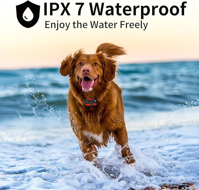 Dog Training Collar with Rechargeable Remote Control 3 Training Modes IPX7 Waterproof Electric Collar Range 3300Ft Bark Collar for Small Medium Large Dogs