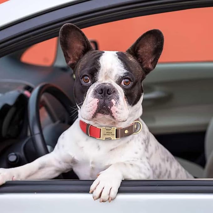 Personalized Dog Collars, Custom Soft PU Leather Dog Collar with Pet Name and Phone Number for Medium Dogs, Adjustable and Durable Pet Collars with Quick Release Metal Buckle,M(13-19")