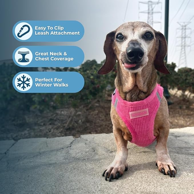 Best Pet Supplies - All Weather Mesh/Plush, Reflective, No Pull Harness for Small, Medium Dogs, Cats - Secure with Hook & Loop Fastener, Buckle, Double D-Rings - Fuchsia Corduroy, M