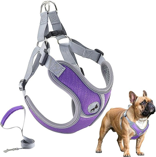 Dog Harness with Leash Set, Adjustable Step in Collars Harness with Breathable Padded Vest for Large Dog Training and Running (L, Purple)