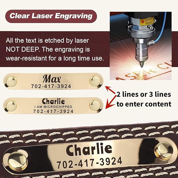 Moonpet Personalized Custom Leather Dog Collar with Engravable Nameplate with Airtag Holder Case- Durable Name Tag Collar - Customizable Dog Collar - Comfortable ID Collars for X-Small Dogs-Brown-XS