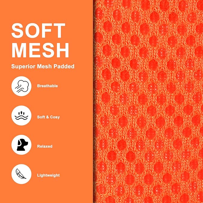 EXPAWLORER Thanksgiving Autumn Puppy Harness - Dog Collar and Leash - Soft Mesh Padded Adjustable Step in Small Dog Vest Harness No Pull, Reflective Escape Proof for Outdoor Walking, Orange M