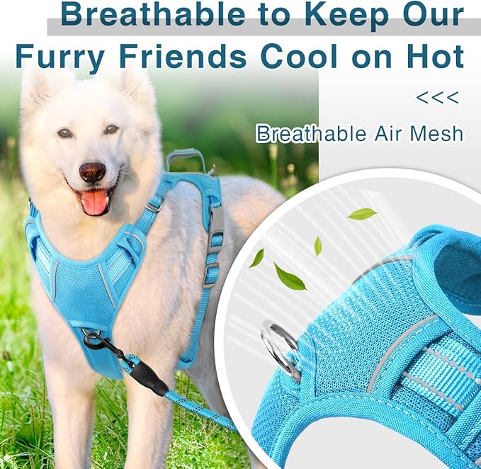 BARKBAY Dog Harness No Pull with ID Tag Pocket - Heavy Duty, Reflective, Easy Control for Small Dogs(Blue,S)