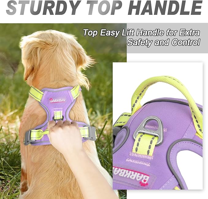 BARKBAY No Pull Dog Harness Front Clip Heavy Duty Reflective Easy Control Handle for Large Dog Walking(Violet Purple & Sunlight,XS)