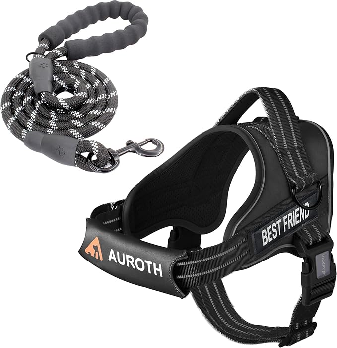 AUROTH Dog Harness and Leash Set, Soft Padded Dog Vest with 5.25FT Dog Leash, No Choke, Easy On Pet Vest, Adjustable Reflective No Pull Dog Harness for Large Dogs, Easy Walking and Training
