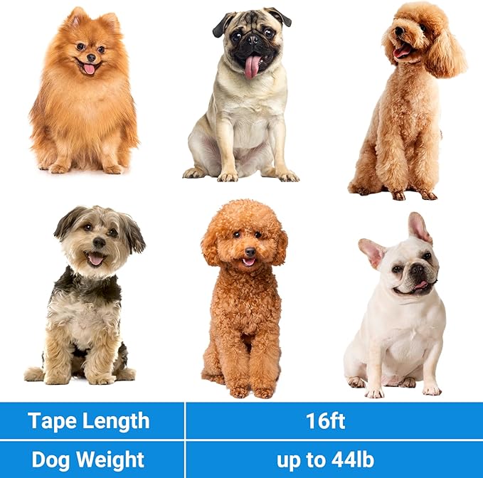 Segarty Dog Leash Retractable, 16ft Heavy Duty Walking Dog Leash for Medium Small Dogs up to 44lb, Anti-Slip Handle 360°Tangle-Free Nylon Tape, One-Handed One Button Lock and Release (Blue)