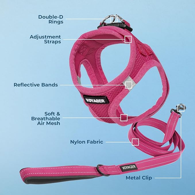 Voyager Step-in Air All Weather Mesh Harness and Reflective Dog 5 ft Leash Combo with Neoprene Handle, for Small, Medium and Large Breed Puppies by Best Pet Supplies - Set (Fuchsia), XS