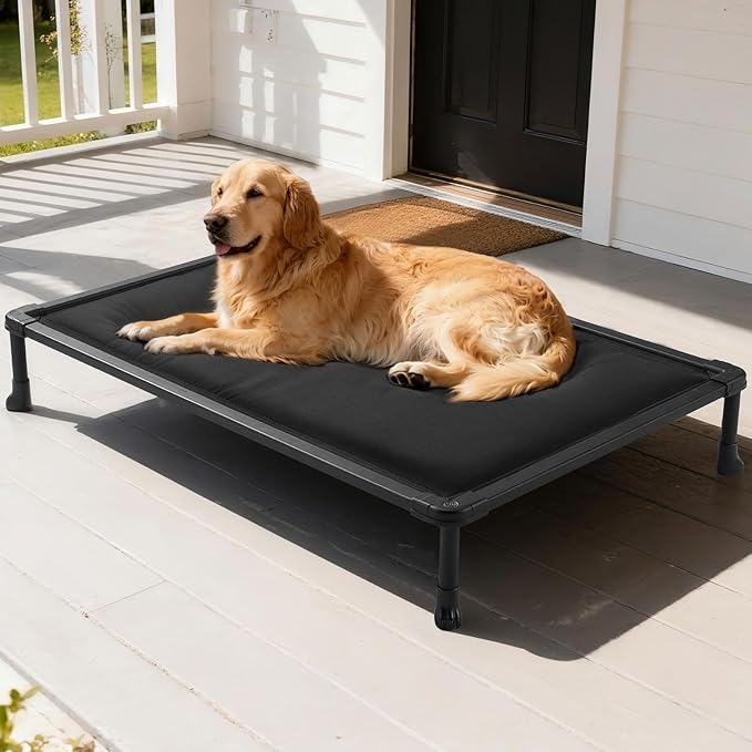 Veehoo Chewproof Elevated Dog Bed, Durable Raised Pet Cot with Soft PP Cotton-Filled Waterproof Mat, Washable Padded Cot for Indoor, Outdoor & Camping, 49-Inch, Black