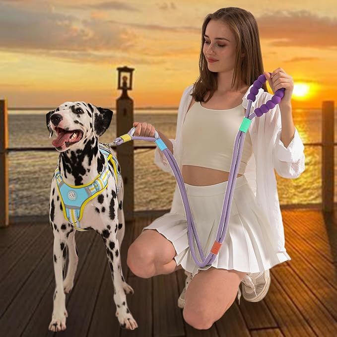 JSXD Dog Leash,5 FT Heavy Duty Dog Training Leash,Double Handle Comfortable Padded Hands Free Dog Leash,Adjustable Crossbody Waist Leash for Small Medium Large Dogs(Purple)