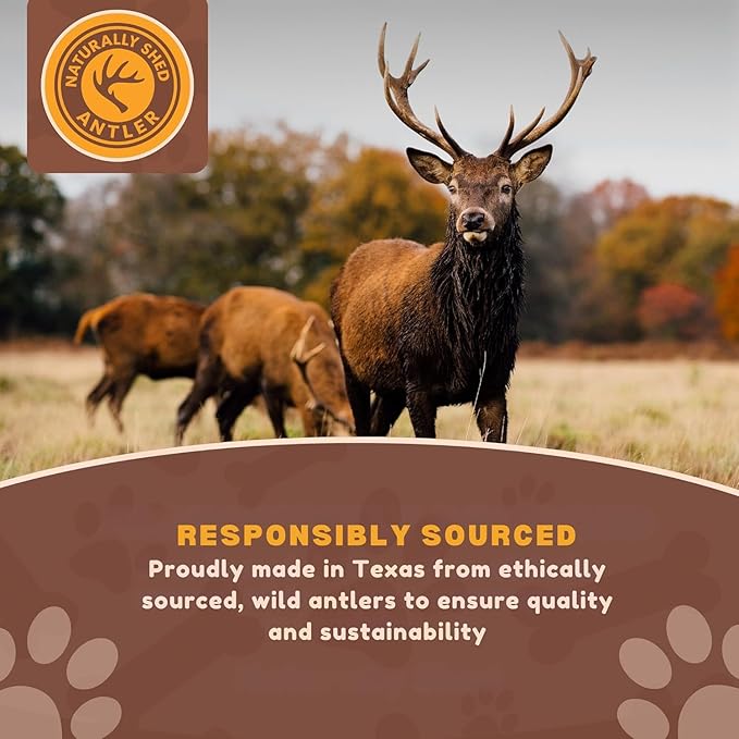 WhiteTail Naturals - Antlers for Extra Small Dogs (6 Pack) Deer Antler Dog Chew Bones for Extra Small Aggressive Chewers - Long Lasting Horn Chew Toys - Naturally Shed