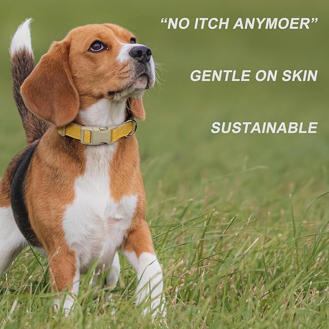 Plutus Pet Cotton Hemp Dog Collar and Leash Set, Adjustable Collar for Small, Medium, and Large Dogs, Heavy Duty and Soft on Skin, Yellow, L