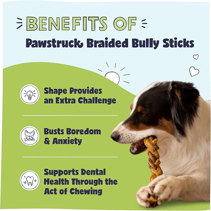 Pawstruck Natural 7” Braided Bully Sticks for Dogs, Tough Long-Lasting, Rawhide-Free, Low Odor, Healthy Single Ingredient Chew Treat for Aggressive Chewers, 10 Count, Packaging May Vary