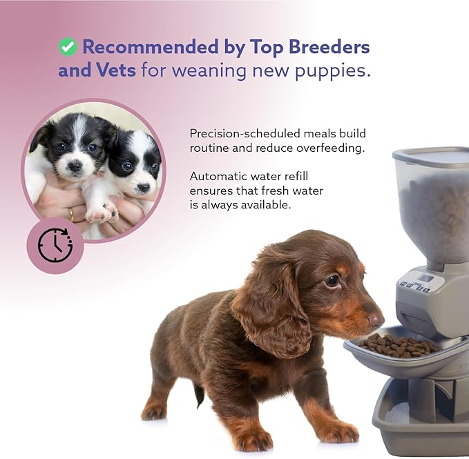 Feeding Friend® Automatic Dog & Cat Food Feeder with Water Dispenser – Smart Pet Feeder with Portion Control, OLED Display, Anti Jam Design, Battery Operated Dispenser for Small - (XS) Pets - Taupe